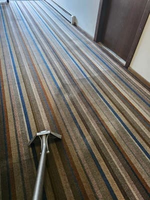 Deep carpet cleaning service by Patriot Building Solutions